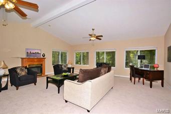 12541 Robyn Road St. Louis, MO 63127 - Photo 9 of 27 Gallery Image 9