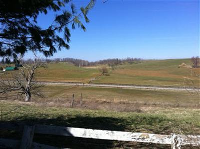 1182 Levy Road Paris, KY 40361 - Photo 3 of 4 Photo 3