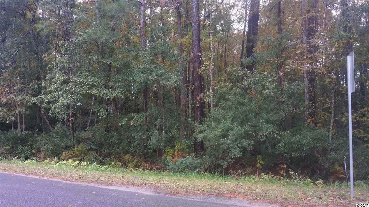 Tract A Fox Hollow Road Murrells Inlet, SC 29576 - Photo 2 of 7