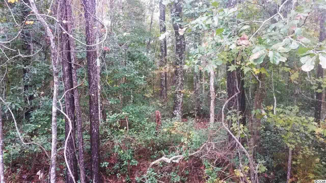 Tract A Fox Hollow Road Murrells Inlet, SC 29576 - Photo 3 of 7
