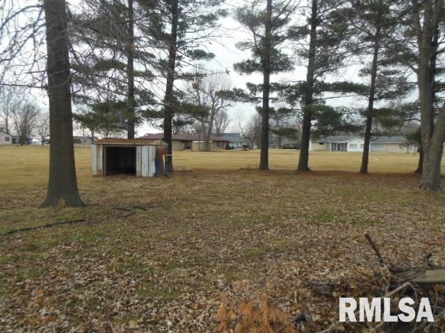 516 South Washington Street Carthage, IL 62321 - Photo 7 of 7