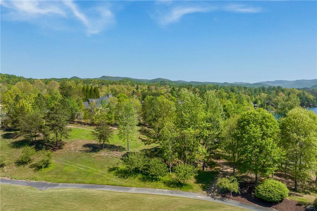 249 Long Cove Court Sunset, SC 29685 - Photo 12 of 21