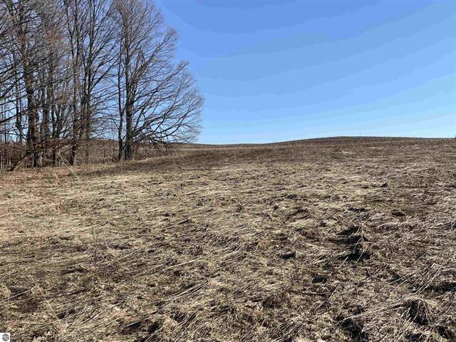 11178 East 48 Road Cadillac, MI 49601 - Photo 9 of 13 10a