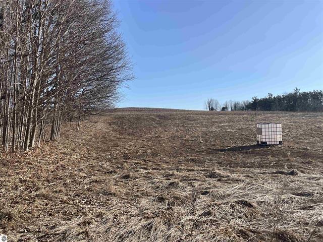 11178 East 48 Road Cadillac, MI 49601 - Photo 10 of 13 11a