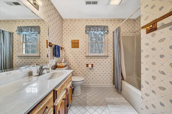 a bathroom with a sink a toilet a mirror and shower