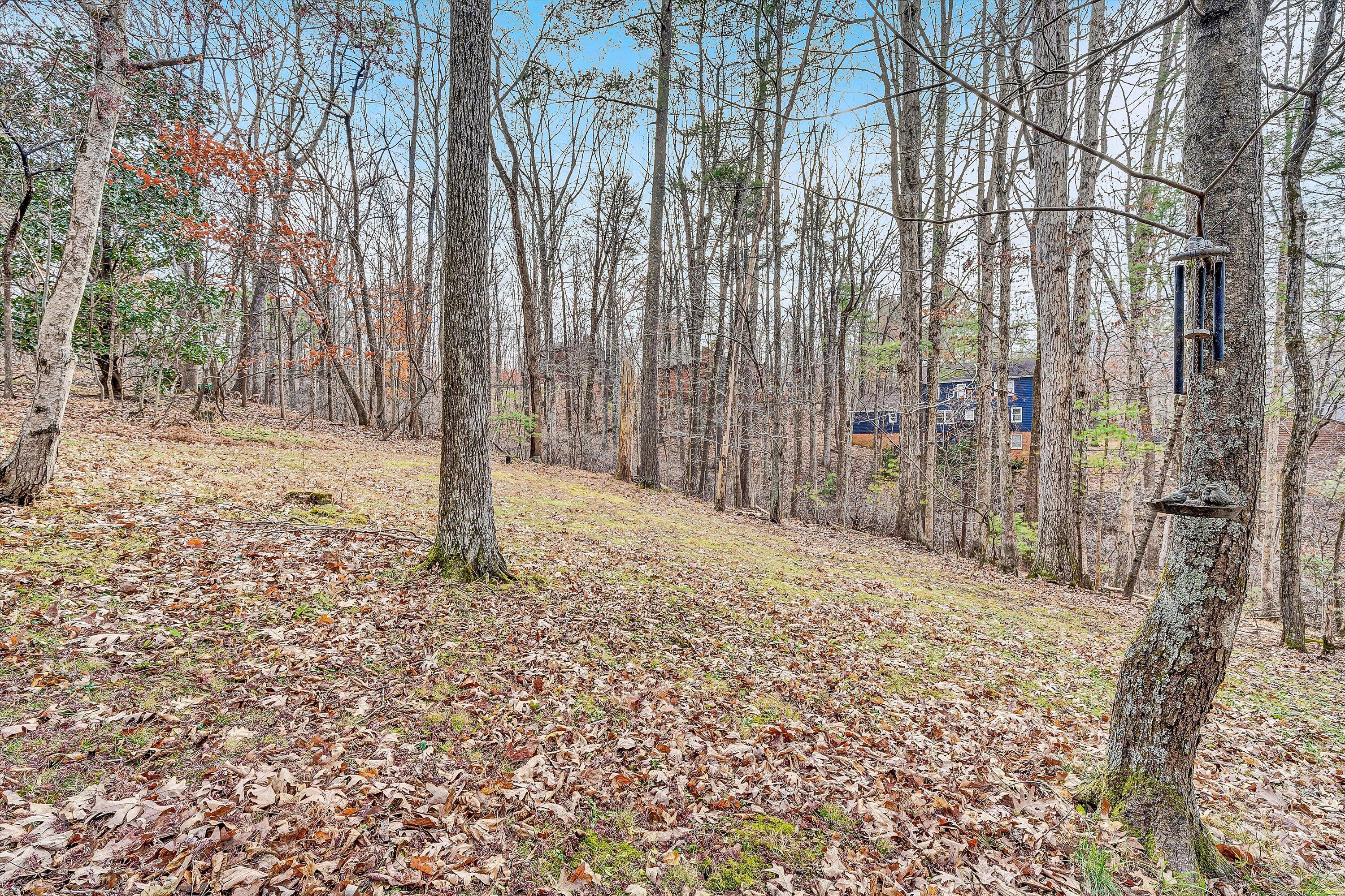 5504 South Roselawn Road Roanoke, VA 24018 - Photo 31 of 37 backyard