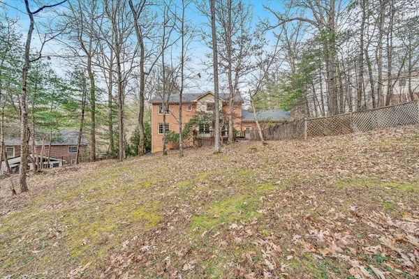 a view of a backyard with large trees