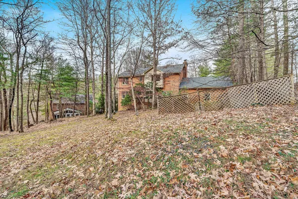 a view of a backyard with a tree