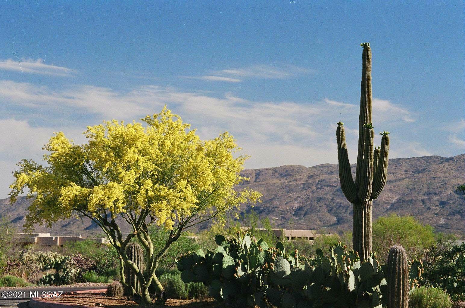 14838 East Triangle M Ranch Road, Unit L01 Vail, AZ 85641 - Photo 5 of 15 Gallery Image 5