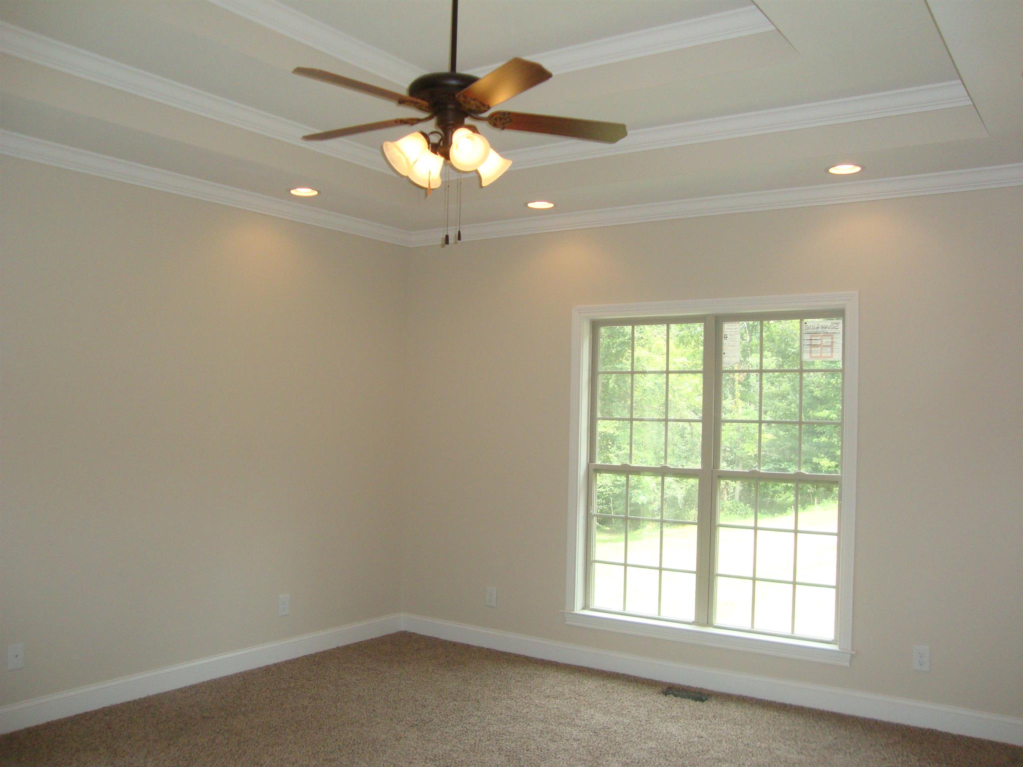 3596 Drake Road Adams, TN 37010 - Photo 10 of 25 an empty room with a chandelier fan and windows