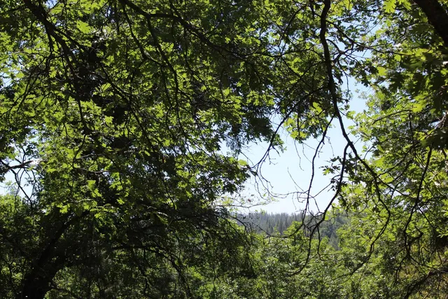 $120,000 | 21785 State Rte 26, West Point, CA 95255