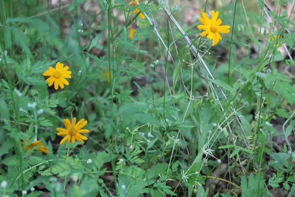 $120,000 | 21785 State Rte 26, West Point, CA 95255