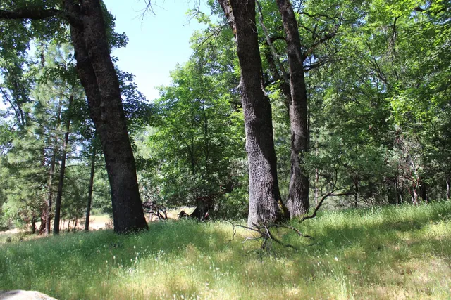 $120,000 | 21785 State Rte 26, West Point, CA 95255