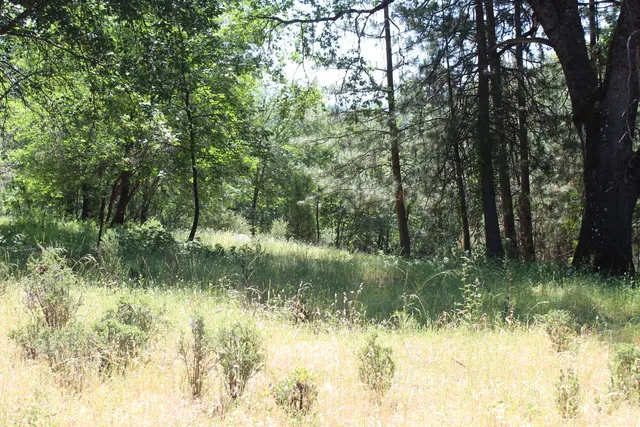 $120,000 | 21785 State Rte 26, West Point, CA 95255