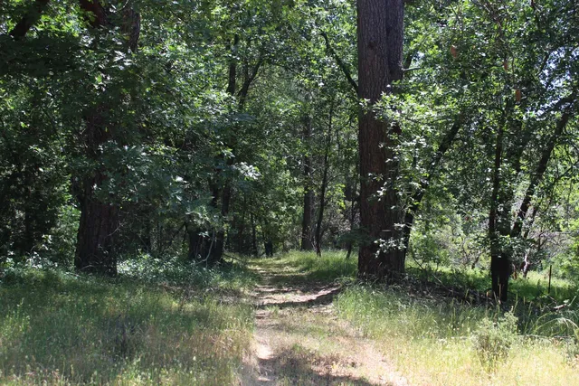 $120,000 | 21785 State Rte 26, West Point, CA 95255