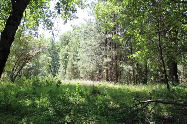 $120,000 | 21785 State Rte 26, West Point, CA 95255
