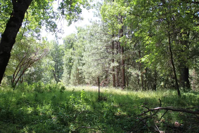 $120,000 | 21785 State Rte 26, West Point, CA 95255