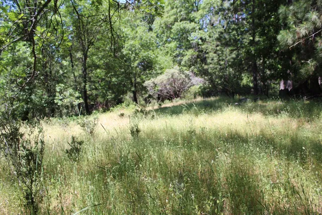 $120,000 | 21785 State Rte 26, West Point, CA 95255