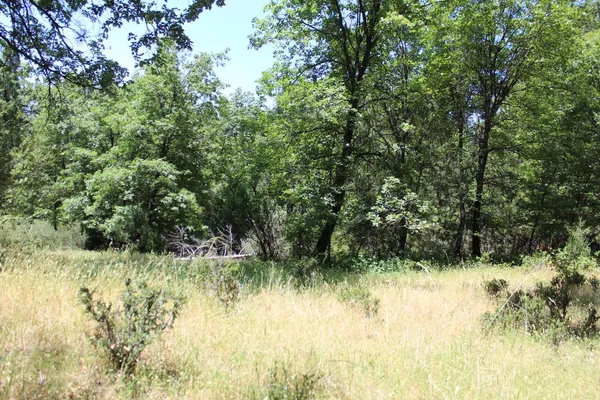 $120,000 | 21785 State Rte 26, West Point, CA 95255