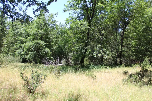 $120,000 | 21785 State Rte 26, West Point, CA 95255