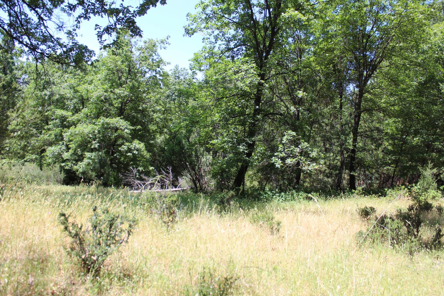 21785 State Rte 26 West Point, CA 95255 - Photo 20 of 21 a view of swimming pool from a yard