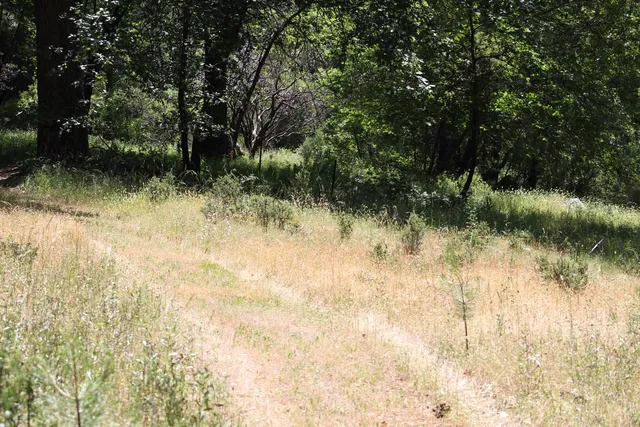 a view of a yard covered in snow