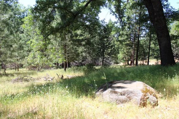 a backyard of a house with lots of green space