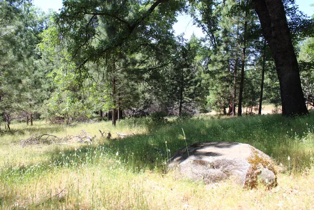 a backyard of a house with lots of green space