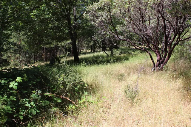 a view of outdoor space and yard