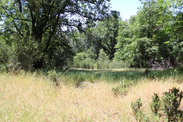 a view of lake with green space