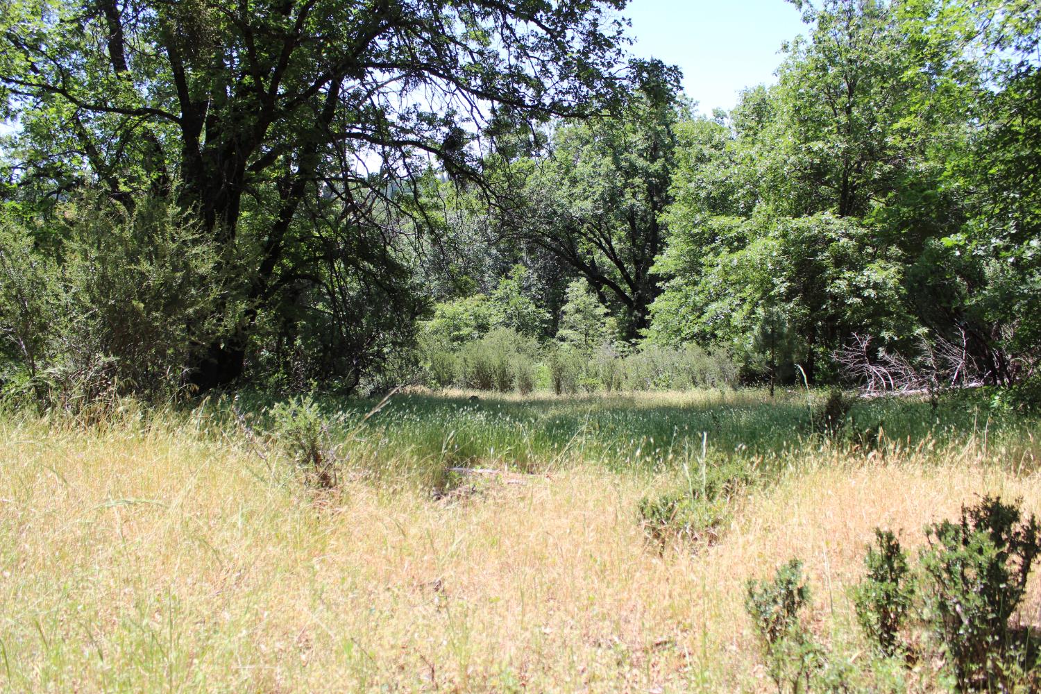 21785 State Rte 26 West Point, CA 95255 - Photo 7 of 21