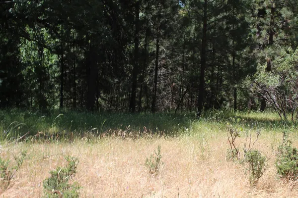 a view of swimming pool from a yard