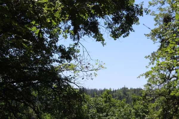 $120,000 | 21785 State Rte 26, West Point, CA 95255
