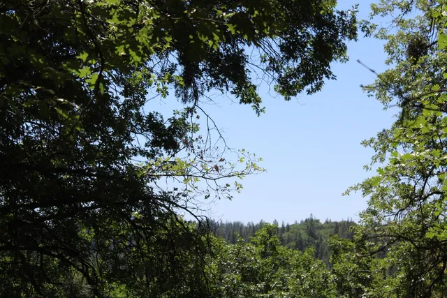 $120,000 | 21785 State Rte 26, West Point, CA 95255