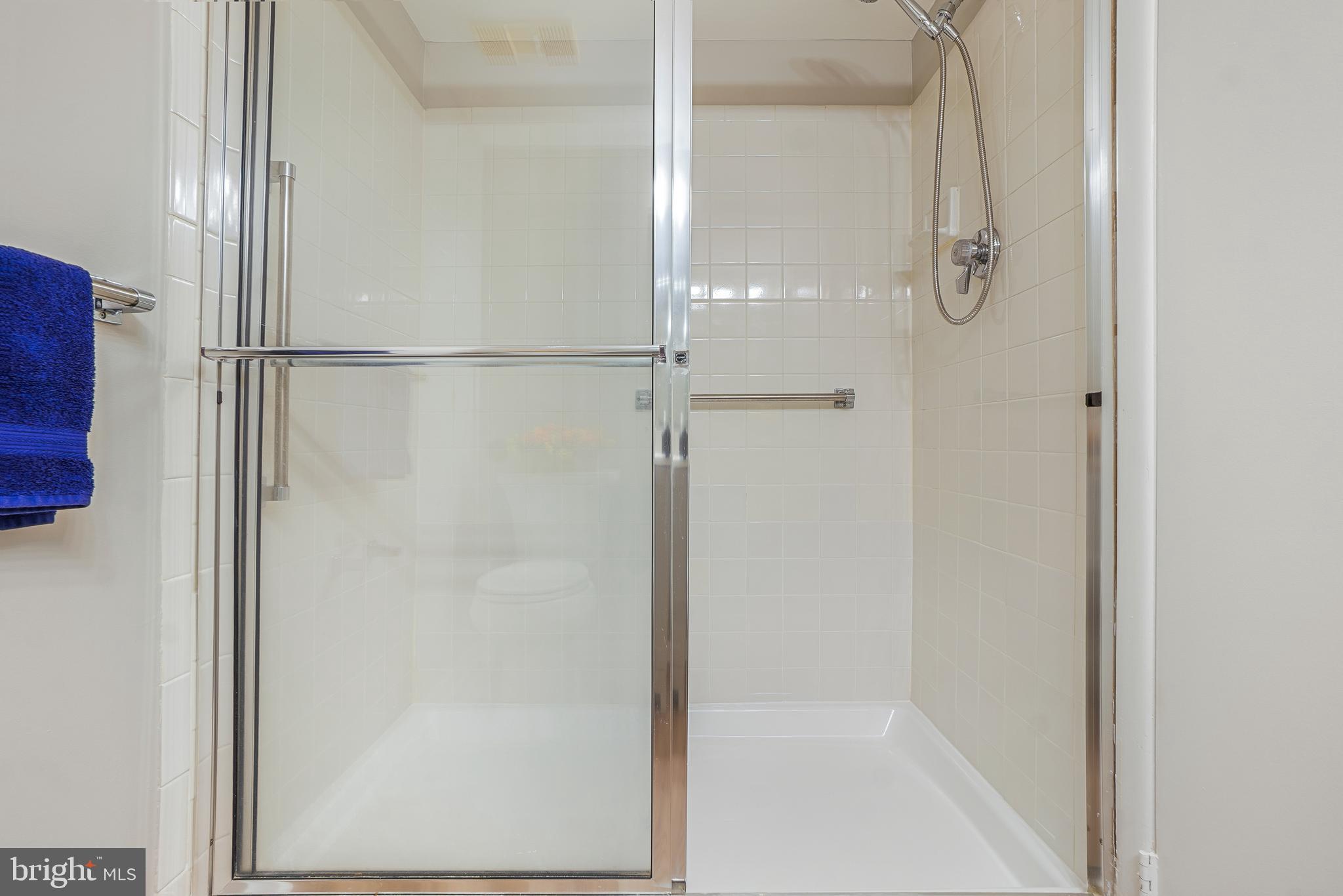 15301 Beaverbrook Court, Unit 922B Silver Spring, MD 20906 - Photo 8 of 47 Step-in Shower in Primary Bath