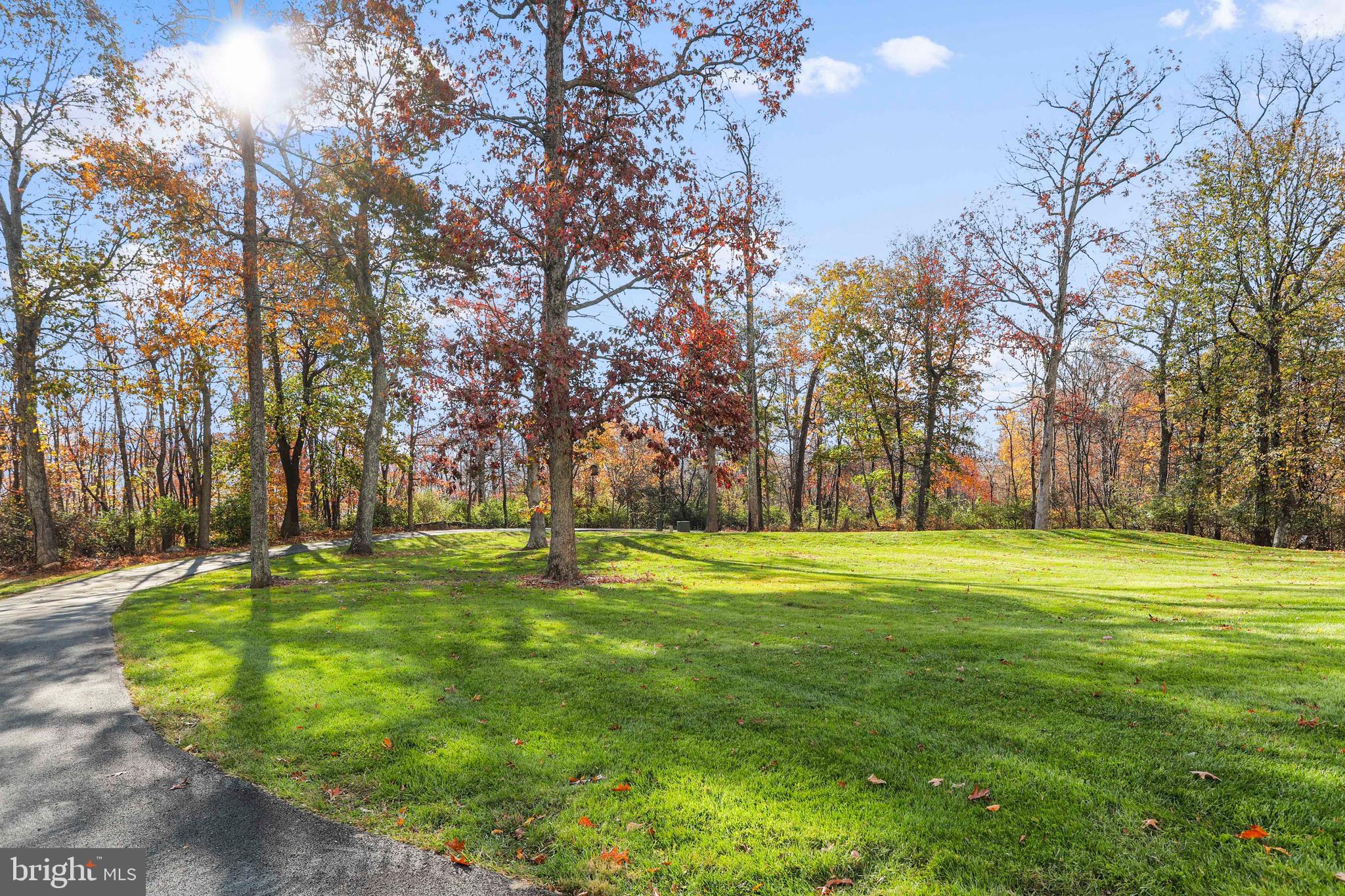 13970 Brown Road Smithsburg, MD 21783 - Photo 12 of 75