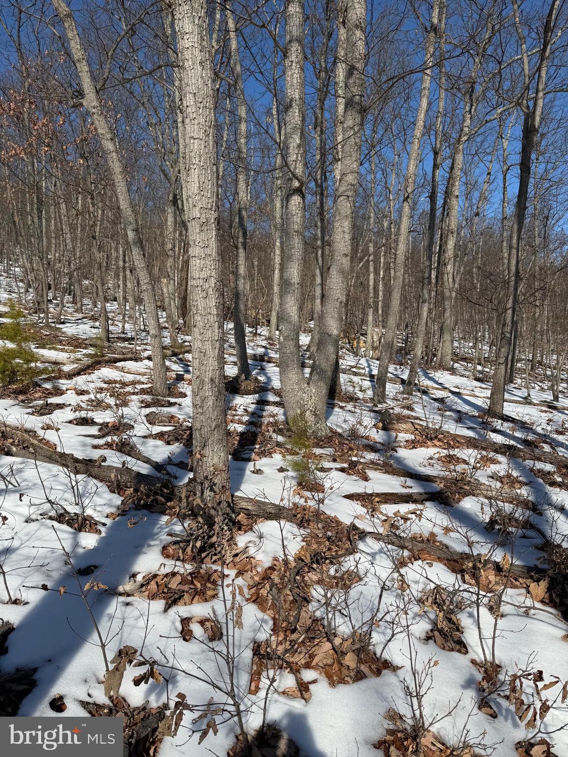 1706 Mercer Road Haymarket, VA 20169 - Photo 1 of 8 a picture of city view