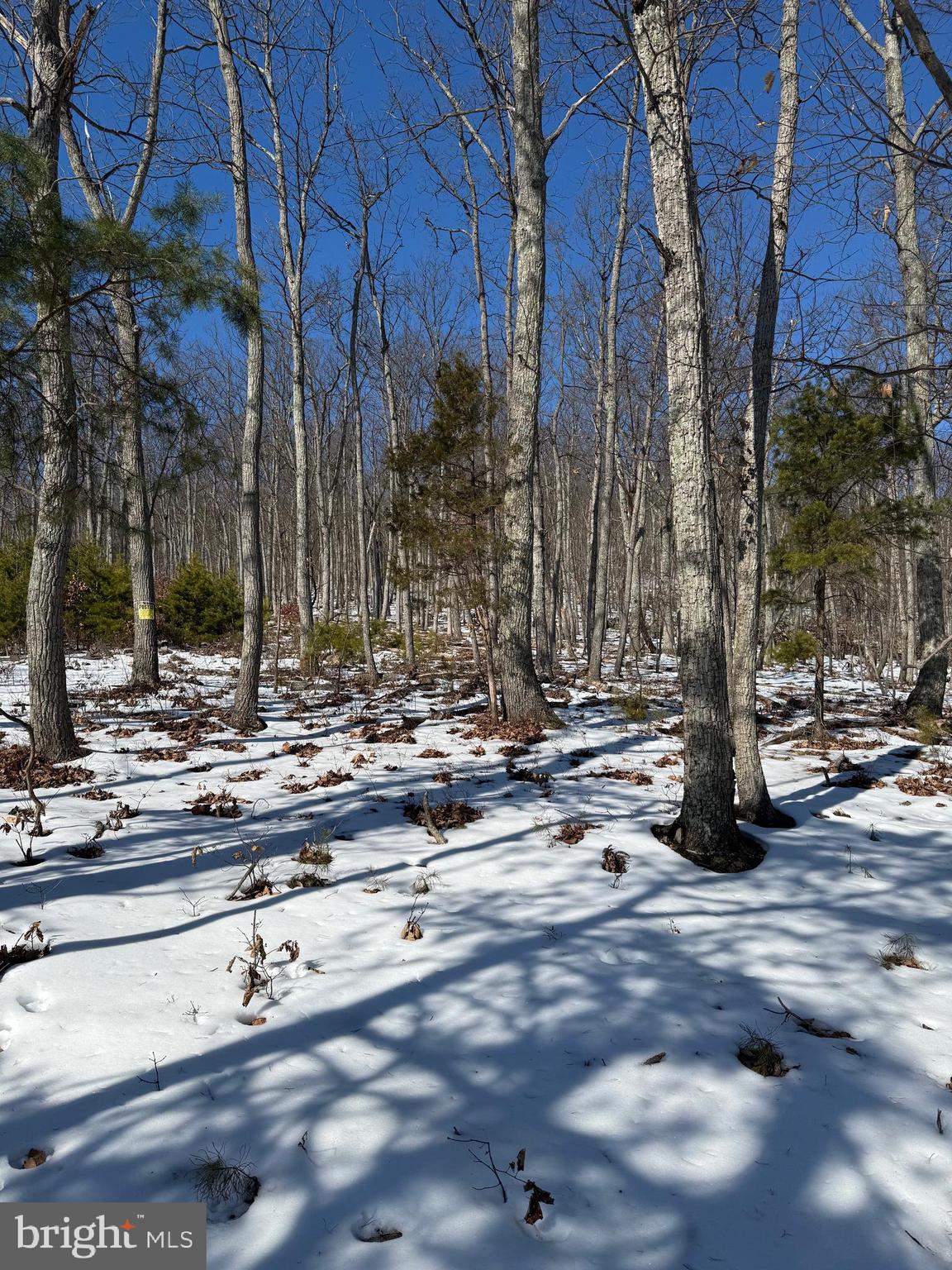 1706 Mercer Road Haymarket, VA 20169 - Photo 5 of 8