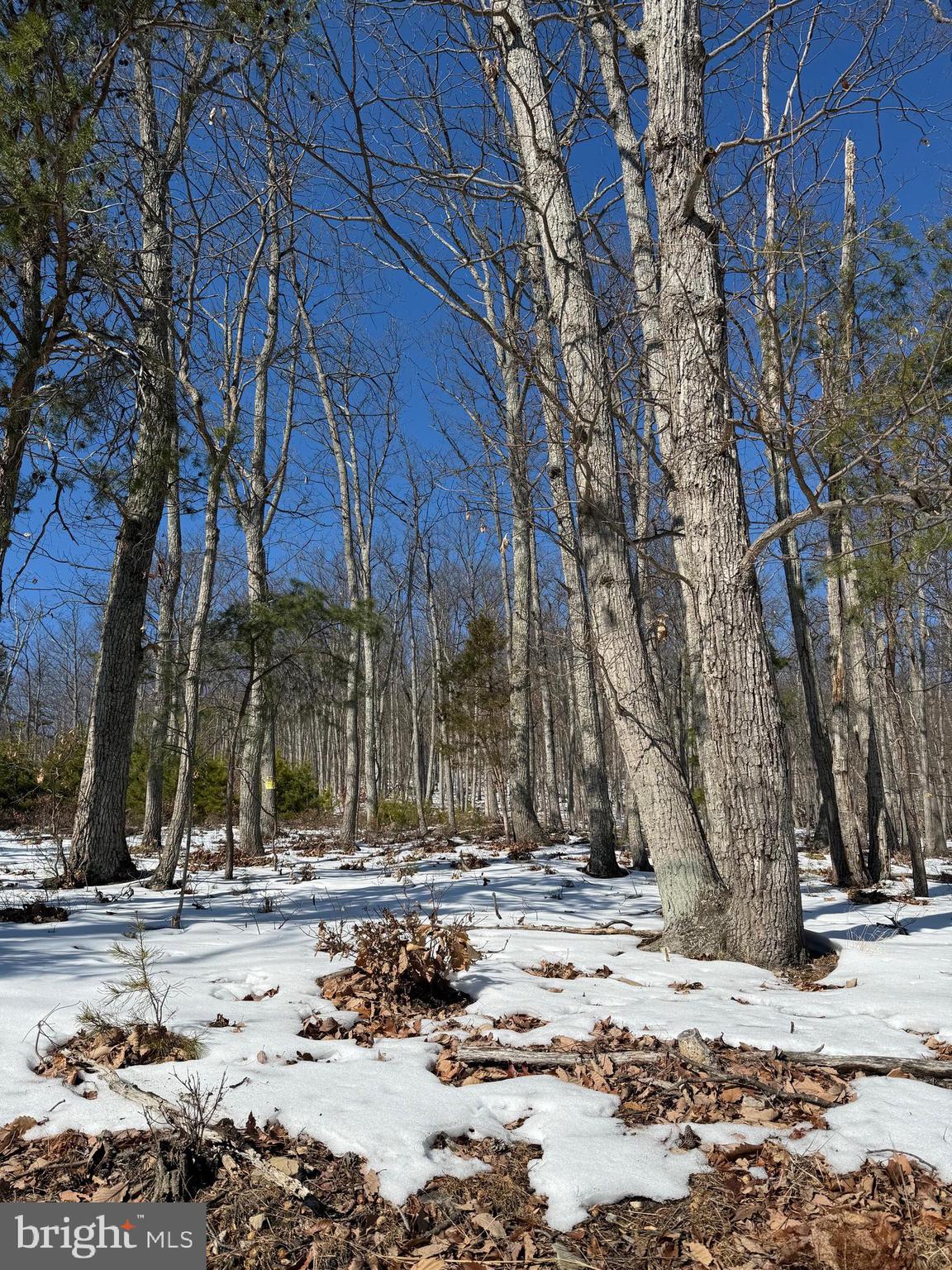 1706 Mercer Road Haymarket, VA 20169 - Photo 6 of 8 a view of a snow on the side of the road