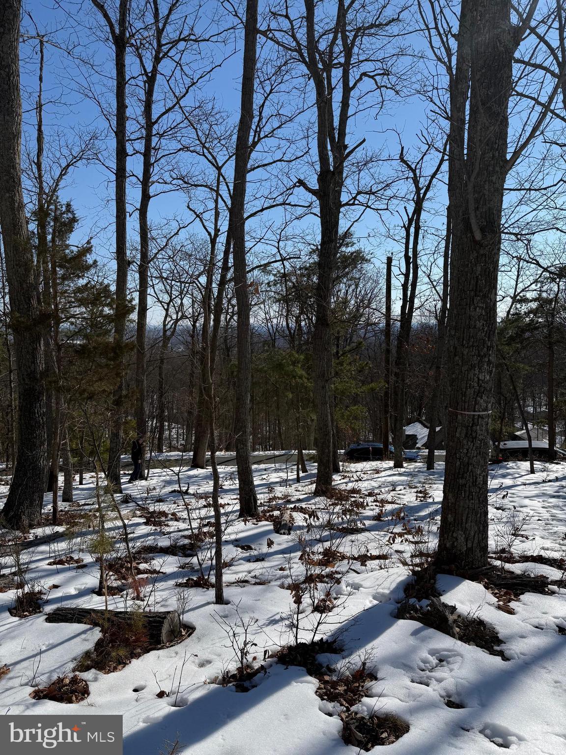 1706 Mercer Road Haymarket, VA 20169 - Photo 7 of 8