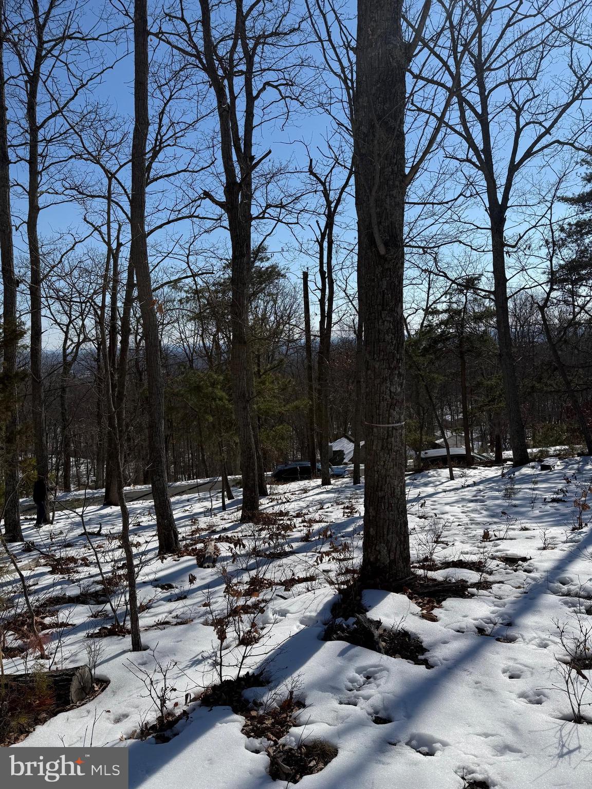 1706 Mercer Road Haymarket, VA 20169 - Photo 8 of 8 a view of water with trees