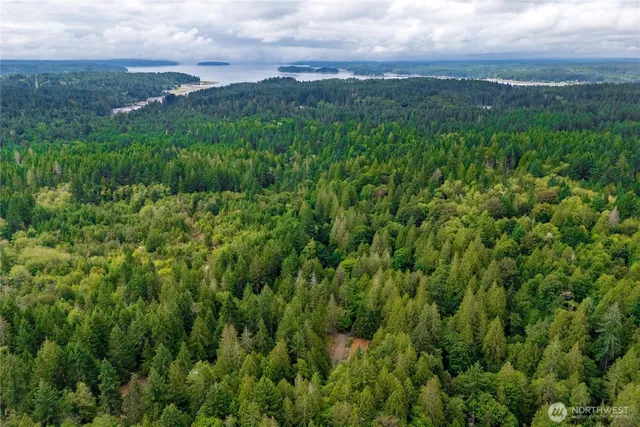 a view of a green field with lots of bushes