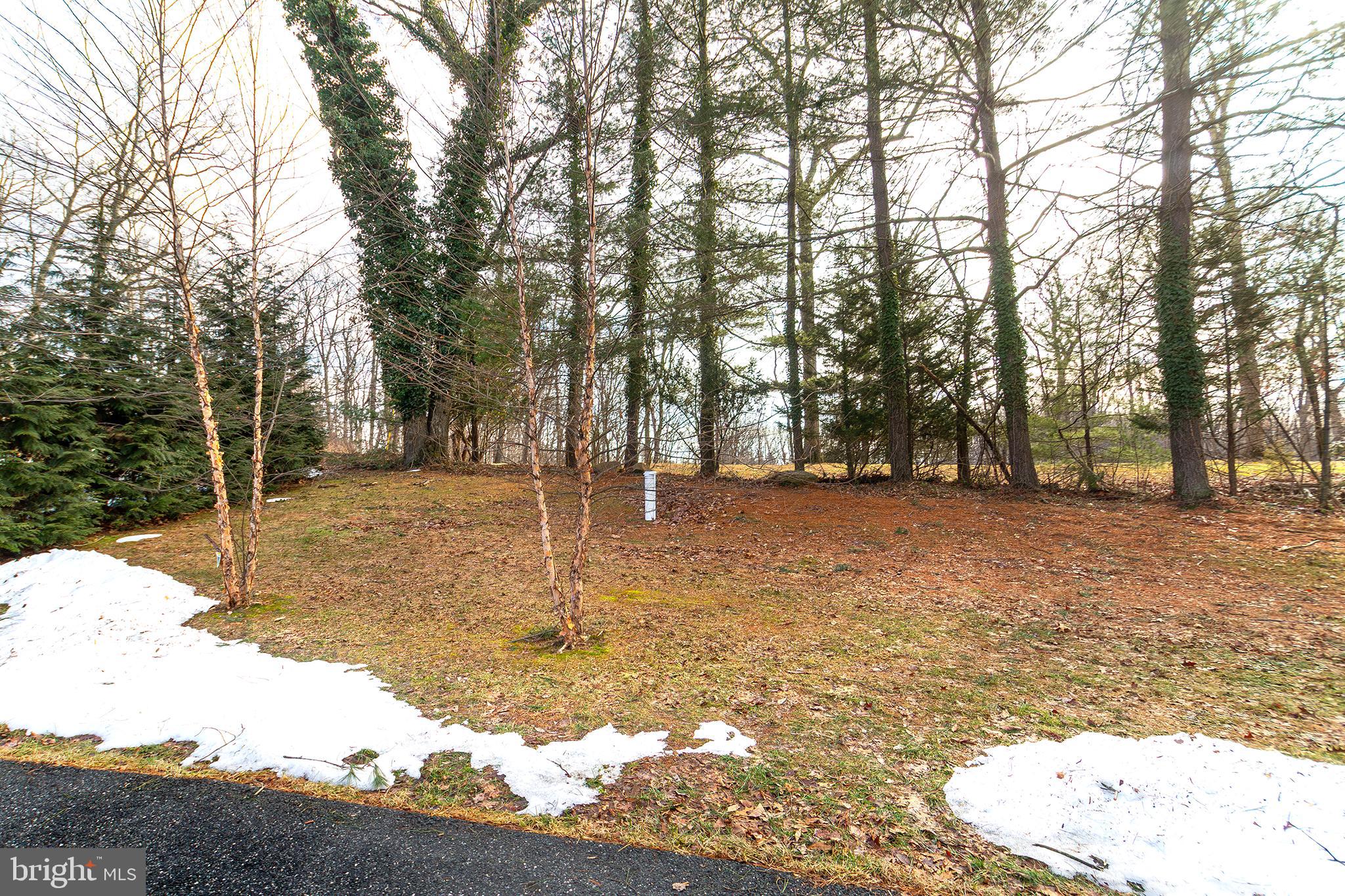 1362 Rock Ridge Road Jarrettsville, MD 21084 - Photo 46 of 50 a view of outdoor space with trees