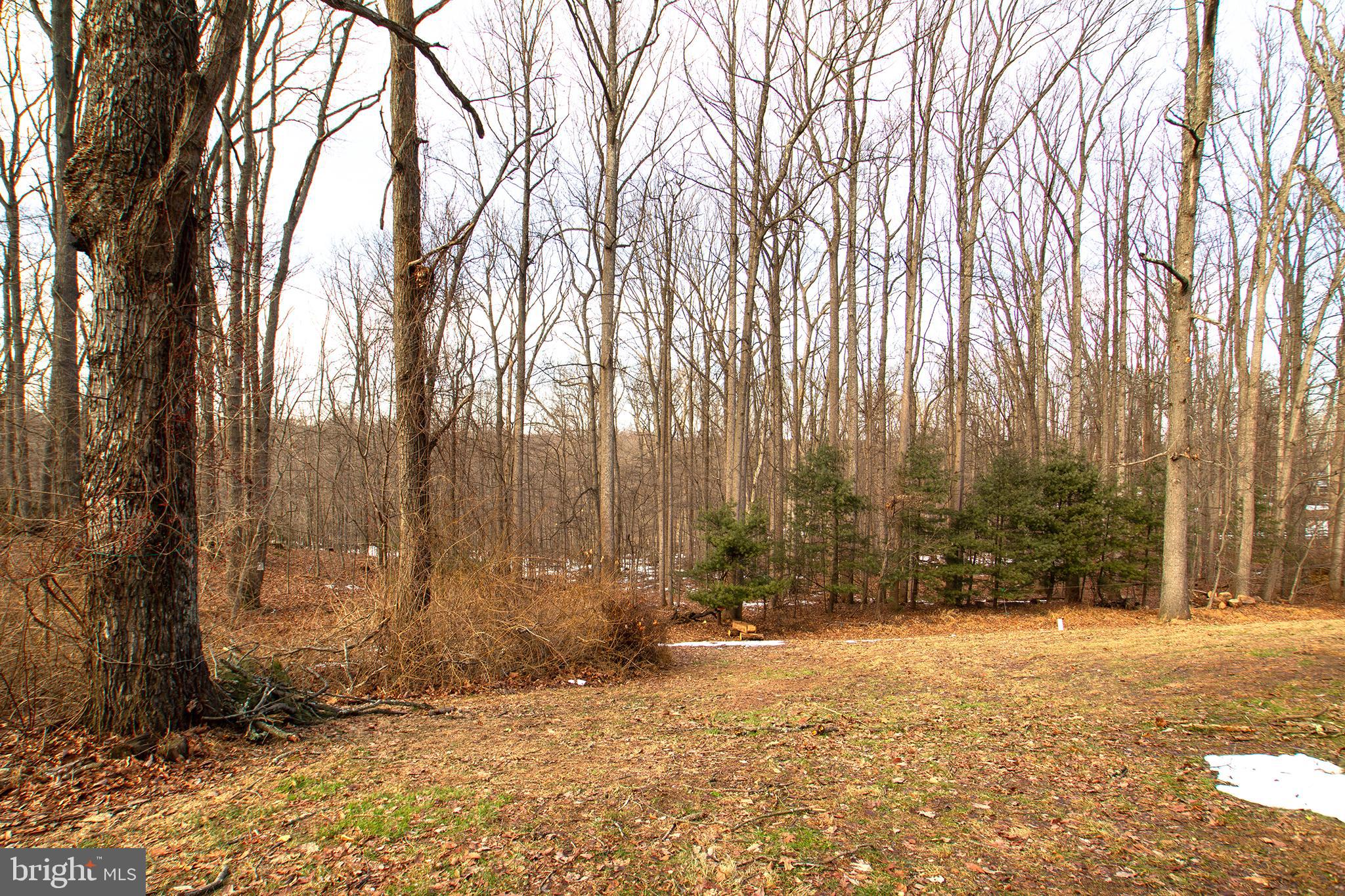 1362 Rock Ridge Road Jarrettsville, MD 21084 - Photo 47 of 50 a view of under construction area