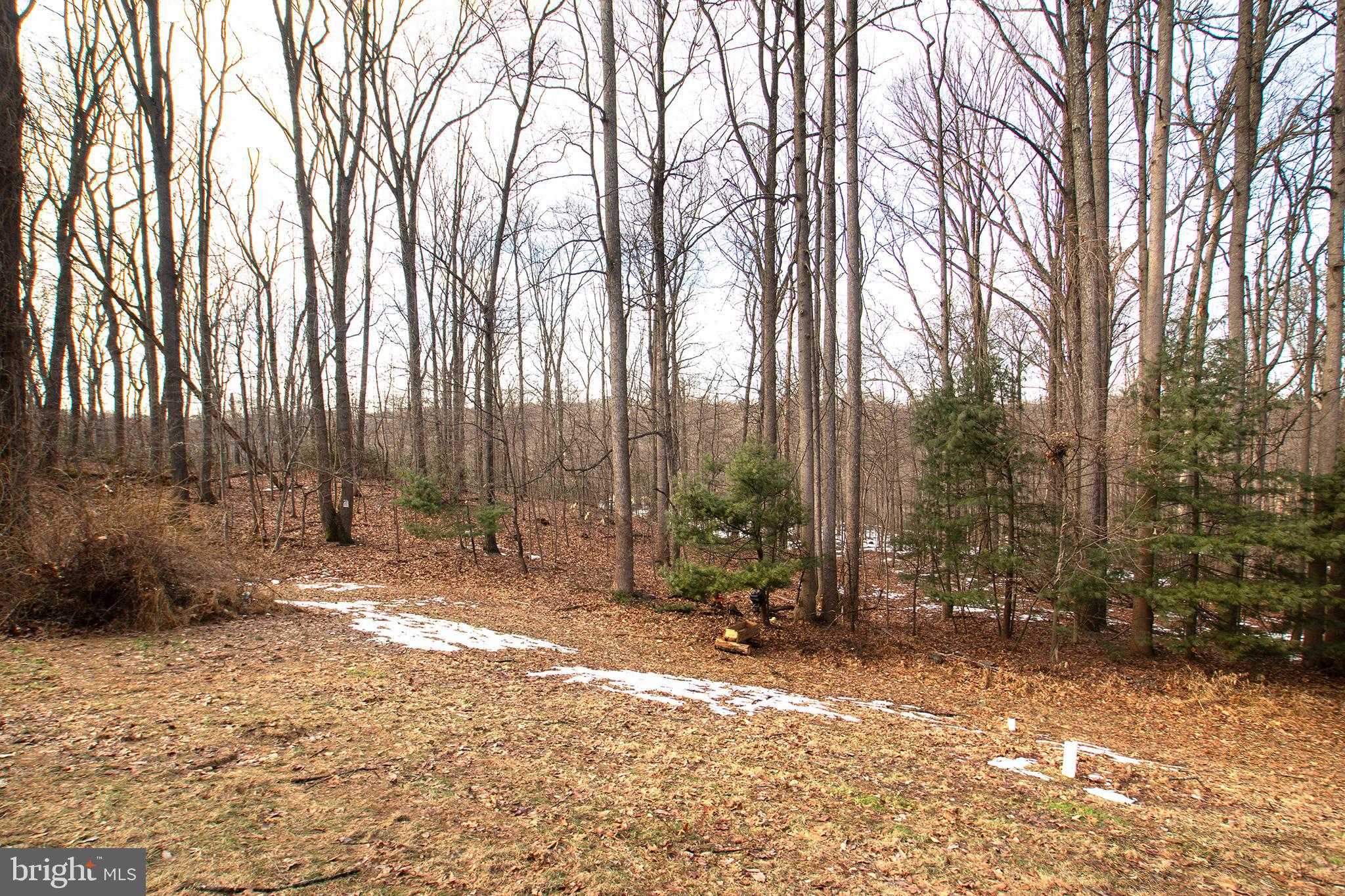 1362 Rock Ridge Road Jarrettsville, MD 21084 - Photo 49 of 50 a backyard of a house with lots of green space and trees