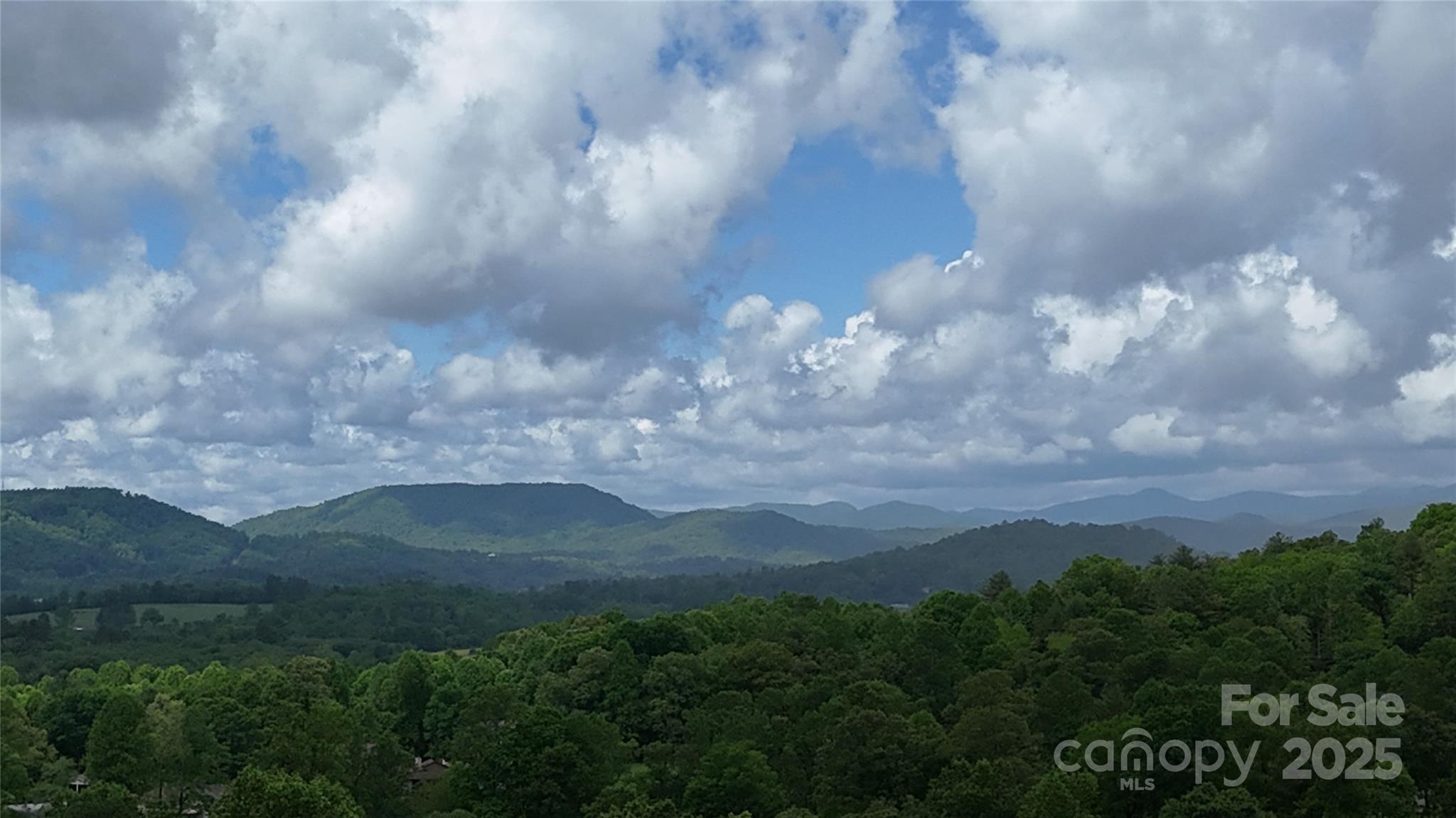 4471 Cove Loop Road Hendersonville, NC 28739 - Photo 2 of 30 Gallery Image 2