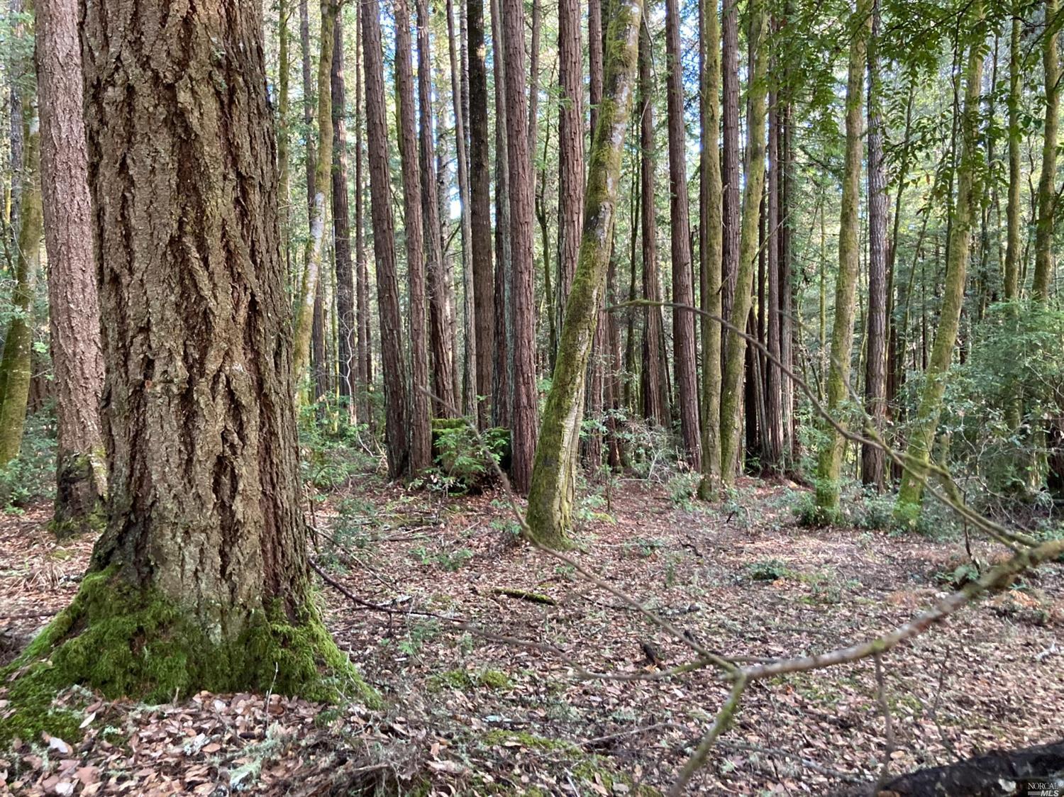380 Deerfield Road The Sea Ranch, CA 95497 - Photo 1 of 1 Gallery Image 1