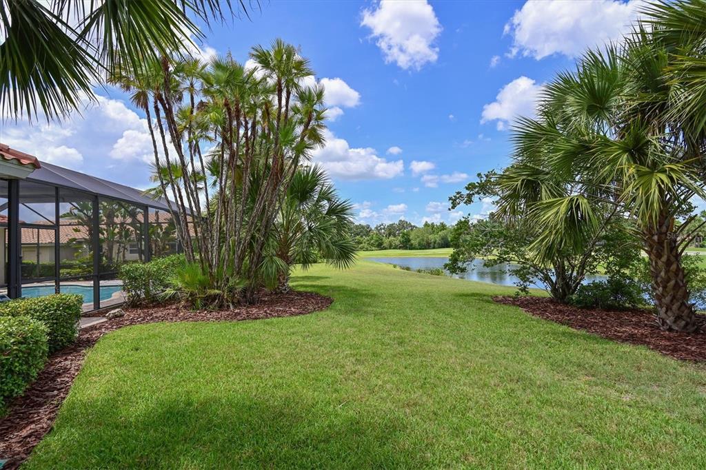10622 Conch Shell Terrace Bradenton, FL 34212 - Photo 52 of 69 a view of a yard with a palm trees