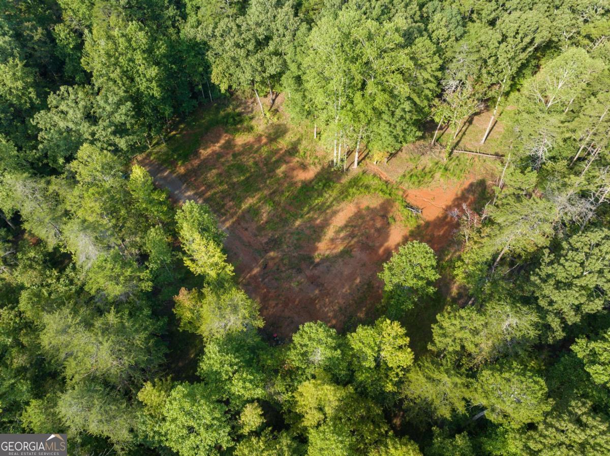 2041 Long Branch Road, Unit TRACT 2A Dahlonega, GA 30533 - Photo 13 of 24 a backyard of a house with lots of green space and trees all around