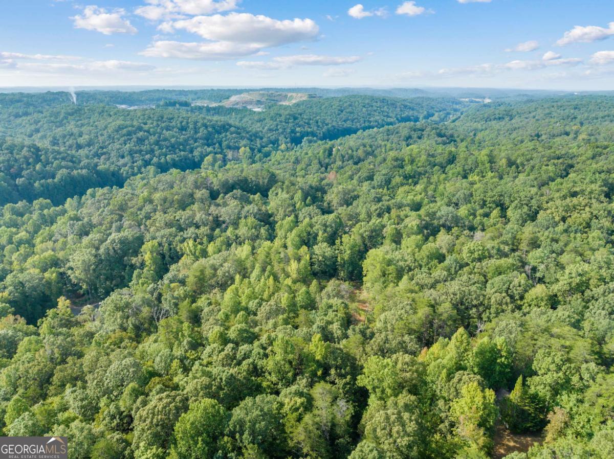 2041 Long Branch Road, Unit TRACT 2A Dahlonega, GA 30533 - Photo 15 of 24 an aerial view of residential houses with outdoor space and trees